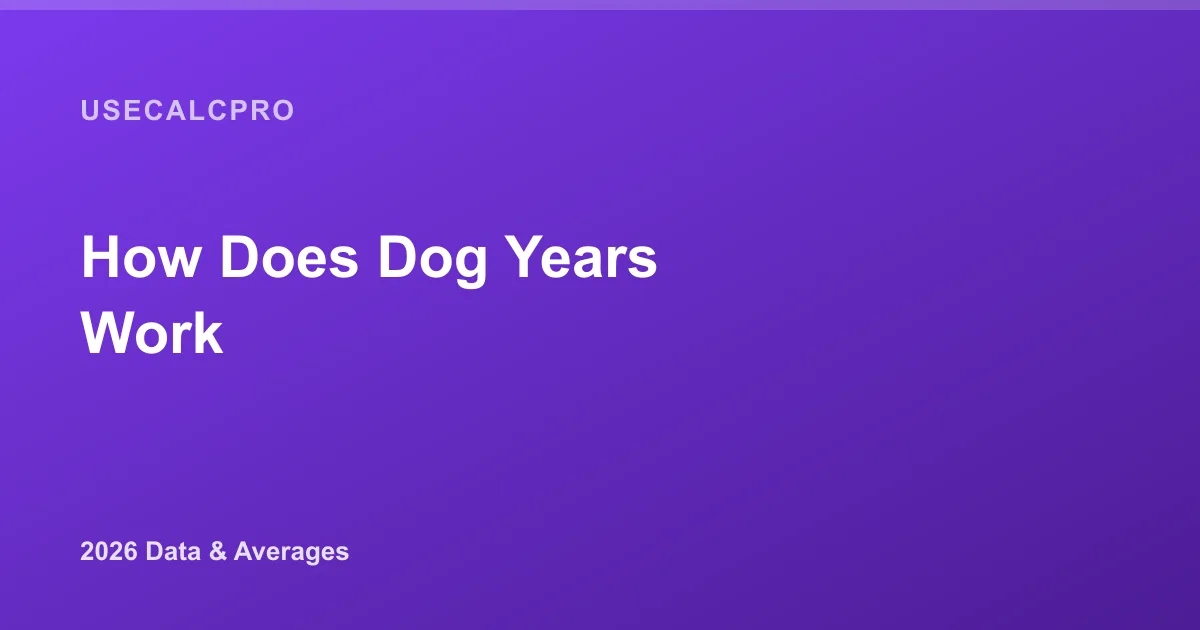How Do Dog Years Work? The Real Math Behind Dog Years in 2026