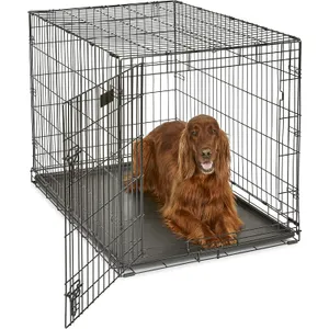 MidWest iCrate 42" Folding Metal Dog Crate