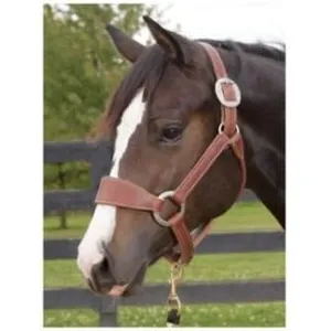 Weaver Leather Stacy Westfall ProTack Halter Average