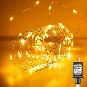 Fairy Lights 99ft 300 LEDs Warm White String Lights